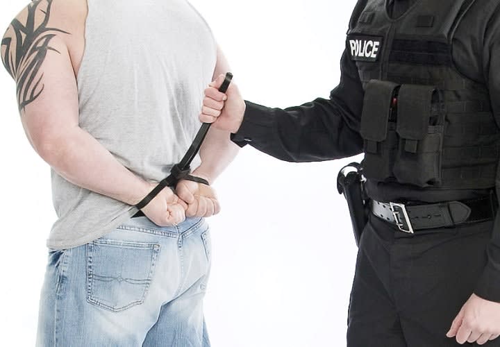 Cobra Cuffs Restraints