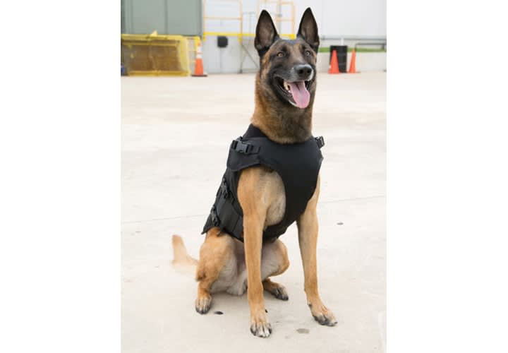 Bark-9 Armor Carrier