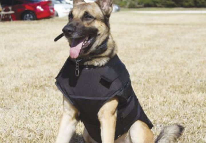Bark-9 Canine Vest