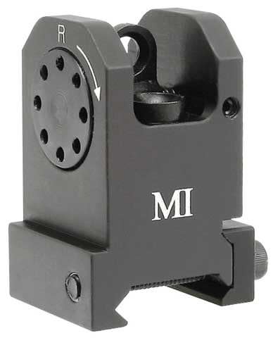 Back Up Iron Sight (BUIS)