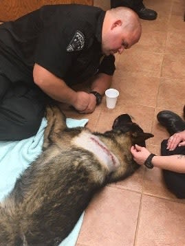Ohio K-9 Shot While Apprehending Suspect