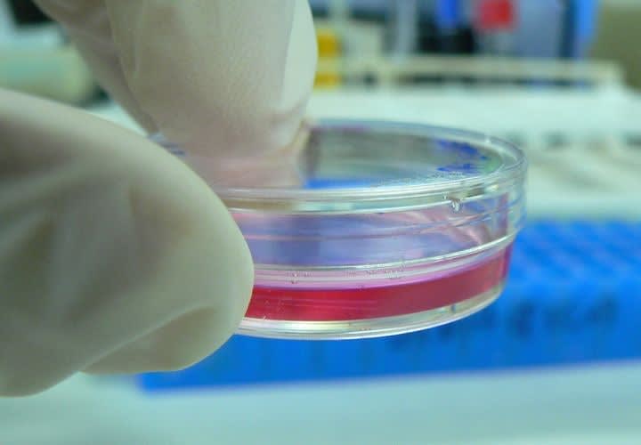 Catching Something Other Than the Bad Guy