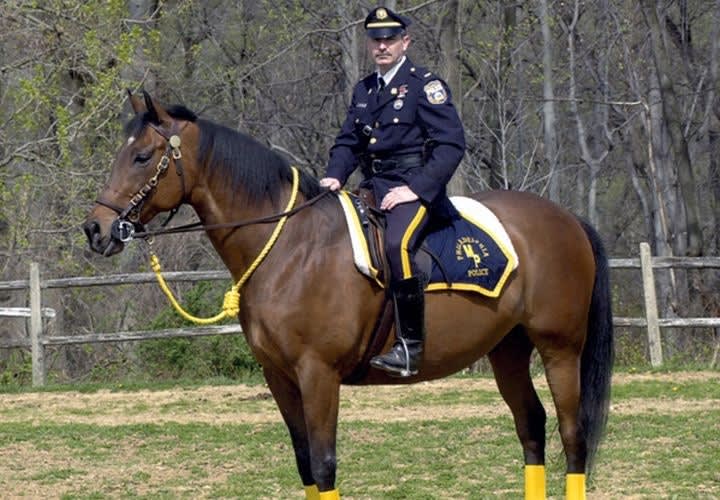 Philly Police Saddle Up Mounted Unit