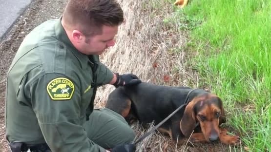 Video: CA Officers Rescue Dog Pinned Under Car on Highway