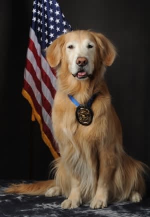 Nation's First Full-Time Police Crisis Response Dog Dies