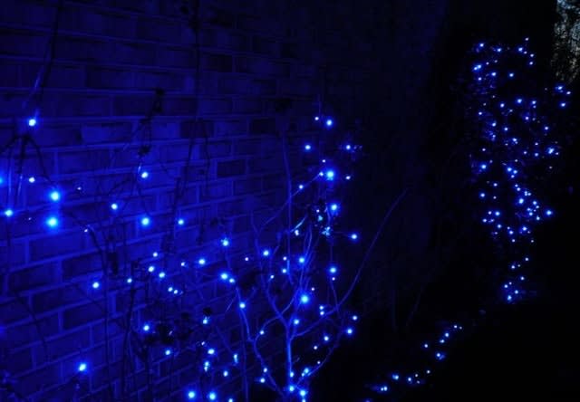 The Potential Hazards of Project Blue Light