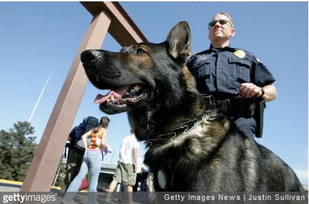 Pot-Sniffing Dogs Still Useful in CA, Officers Say