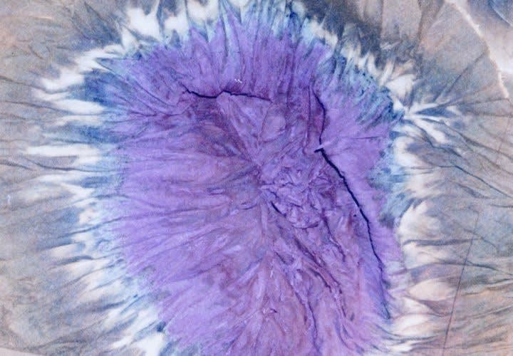 Adopting AI for Workflow Efficiency