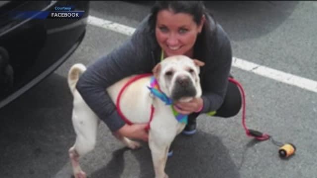 Baltimore Officer Charged with Cutting Lost Dog's Throat