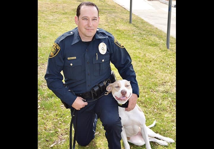 Shelter Dogs: From the Dog Pound to K-9 Duty