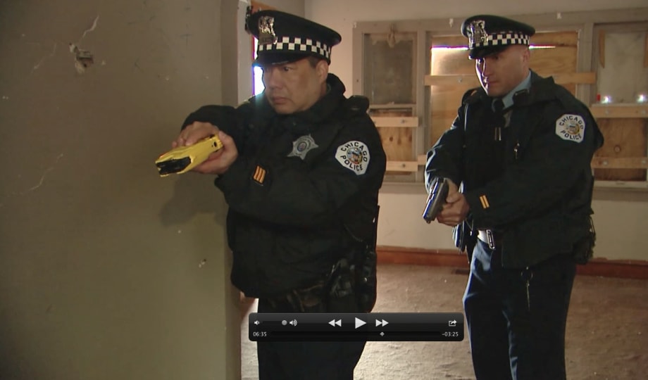 A Use-of-Force Continuum for Dealing with Dogs