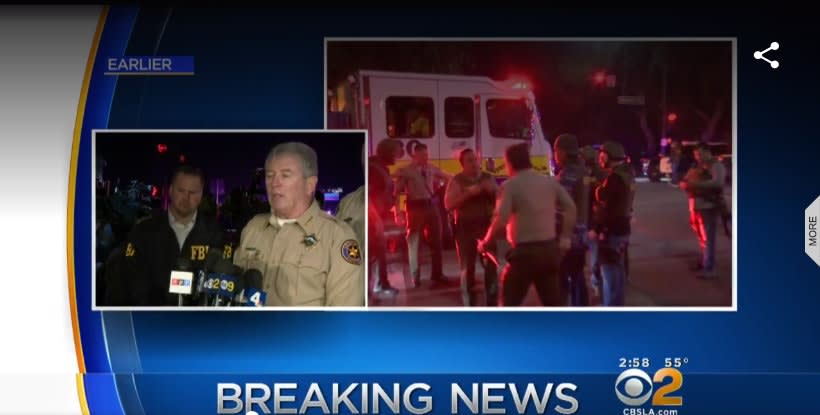 Sheriff's Sergeant, 11 Others Killed in California Bar Shooting