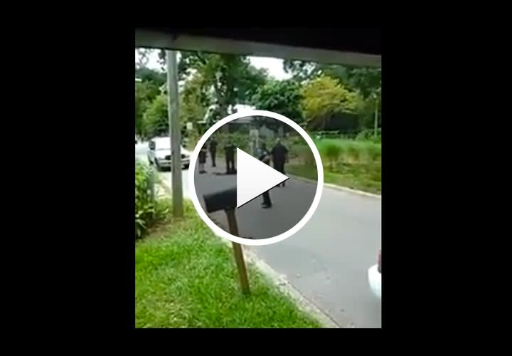 Video: Florida Police Investigate Stun Gun Incident