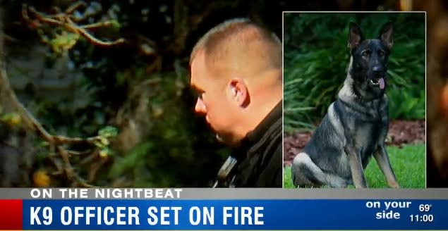 Video: Burglary Suspect Attacks Tampa Officer, K-9 with Burning Paint Primer