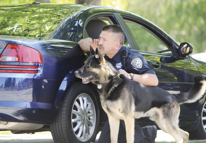 Warrant Arrest Runner