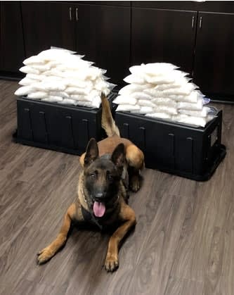California K-9 Finds 60 Pounds of Meth First Day on the Job