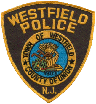 New Jersey Chief Resigns Amid Controversy, Criticism