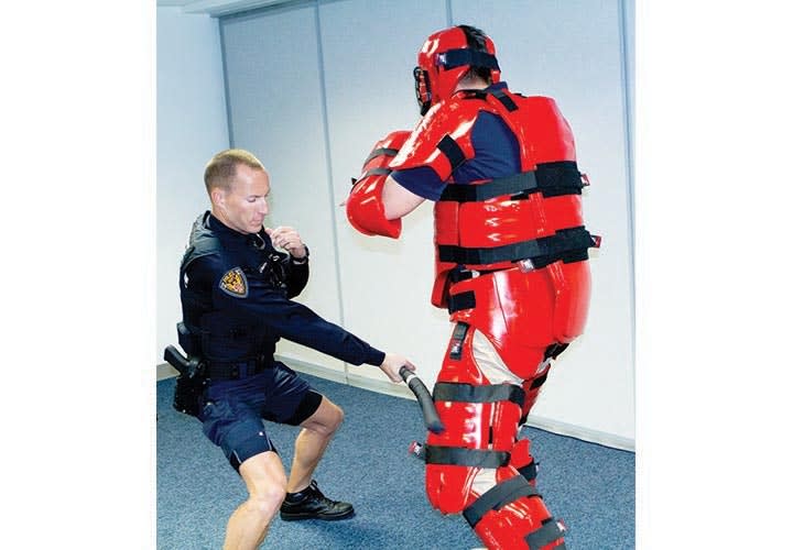 Achieving Training Goals without Injury