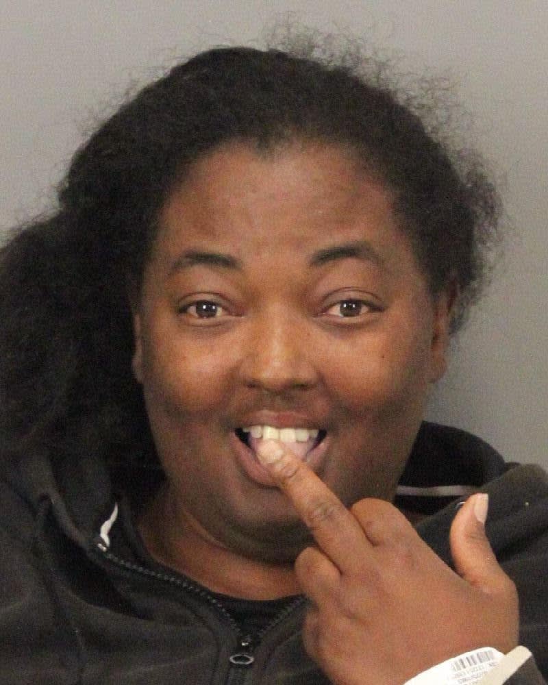 California Woman Punches K-9, Officer After Pursuit