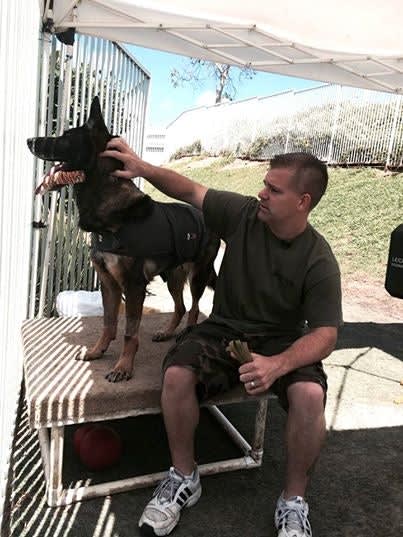 Wounded Calif. K-9 Undergoes Emergency Surgery