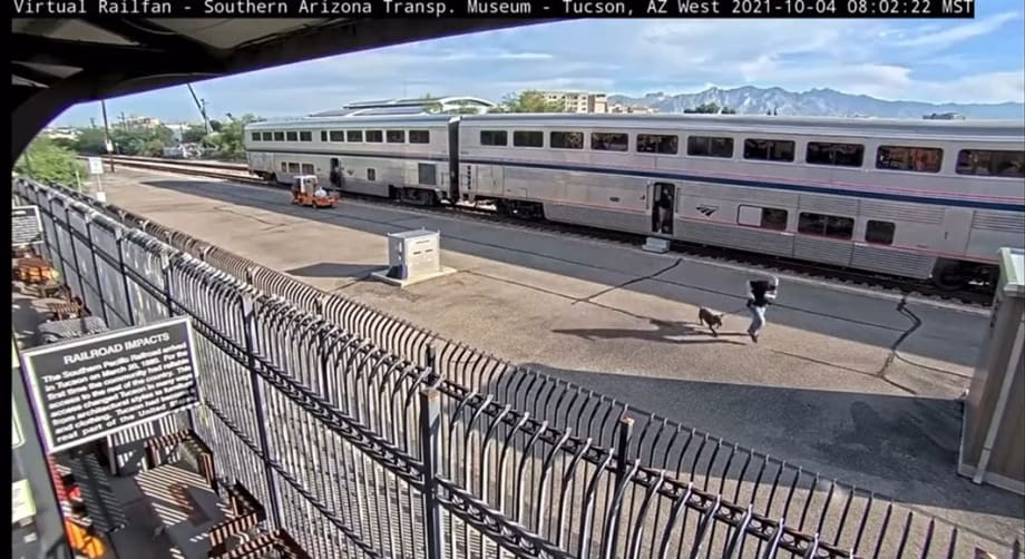 DEA Agent Killed, Another Critically Wounded in AZ Passenger Train Shootout