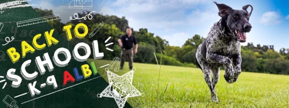 FL Sheriff to Use Firearms Detection Dog in Schools