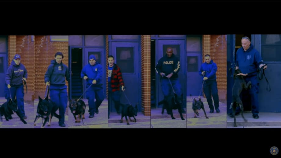 Video: Baltimore PD's Newest K-9s in Training