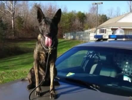 Virginia K-9 Finds 2 Lost Kids in 15 Minutes of Searching