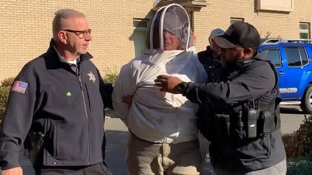MA Woman Charged with Releasing Bees on Deputies