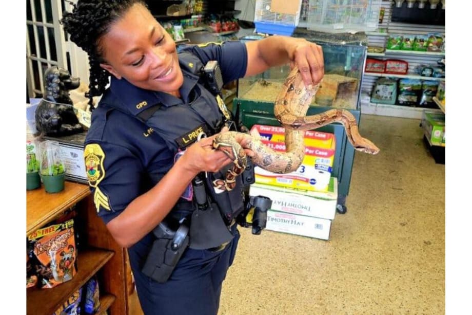 Florida Officers Respond to Call About Snake in Couch