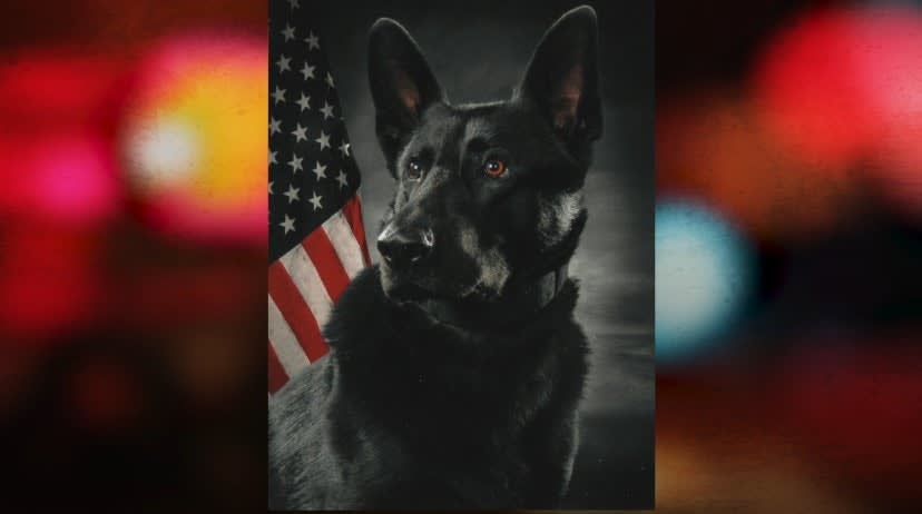 Pursuit of Carjacked Vehicle Ends with MN K-9 Wounded, Suspect Dead