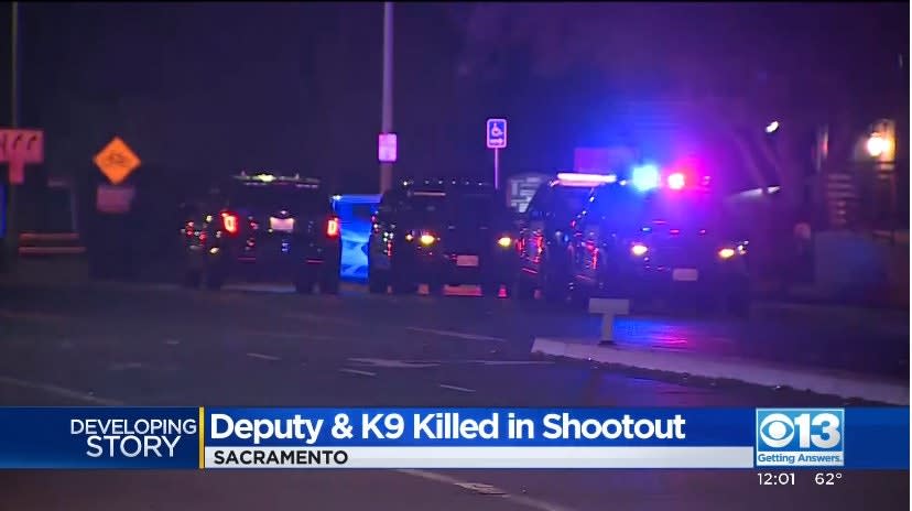 CA Deputy and Sheriff's K-9 Killed in Monday Night Shooting