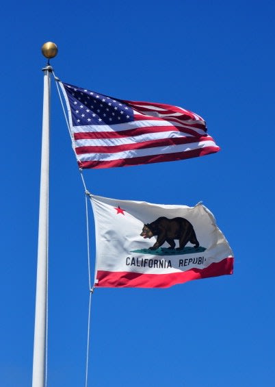 California Assembly Approves Use-of-Force Reform Bill