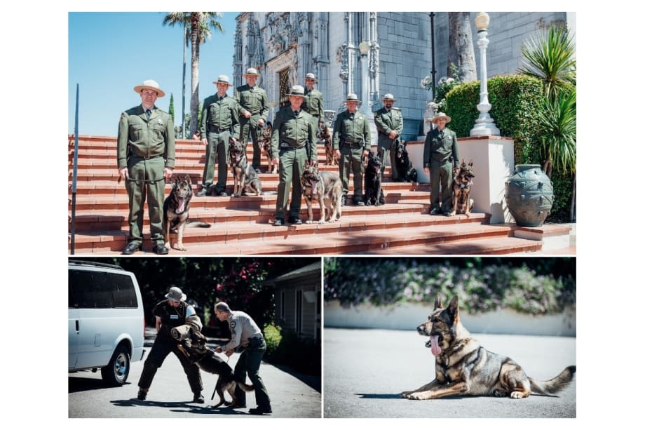 California State Parks Commemorates 50th Anniversary of K-9 Program