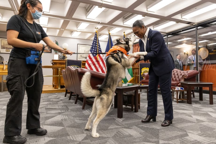 Dog Rescued from Neglect Visits NYPD Commissioner at One Police Plaza for “Take Your Dog to Work Day”