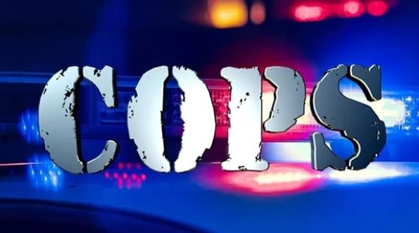 Fox Nation Adds 30 More Episodes of "Cops"