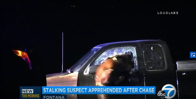 Video: California K-9 Jumps Through Pickup Truck Window to Take Down Suspect