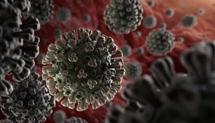 Coronavirus, Infectious Disease, and Officer Safety