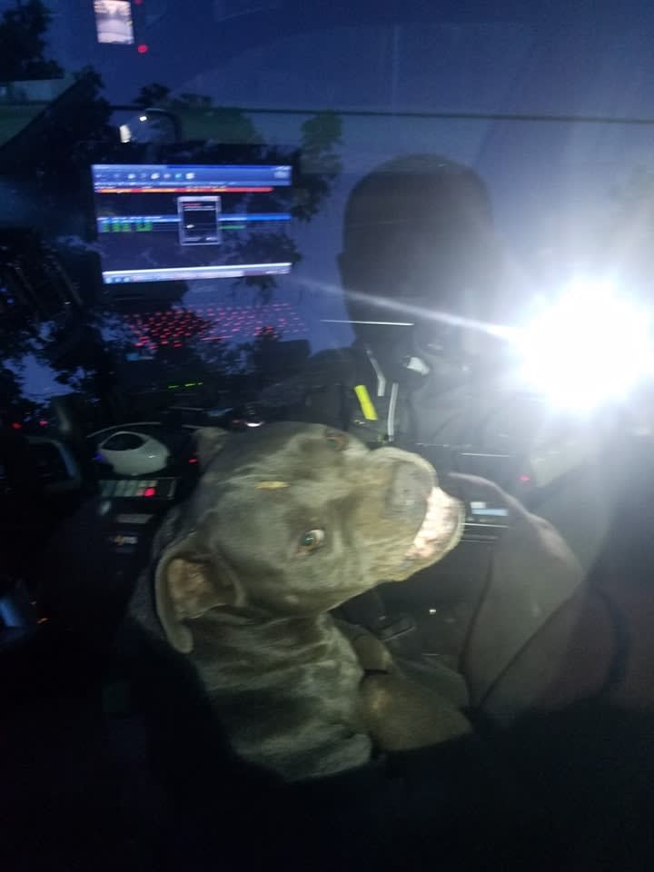 Texas Officer's Squad Car "Hijacked" by Aggressive Dog