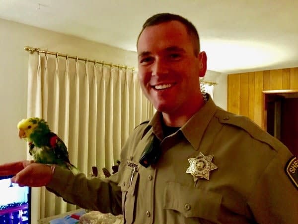 OR Deputy Responds to Cries of Help from…Parrot