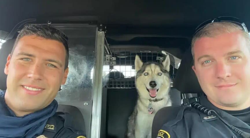 MO Police Rescue Homicide Victim's Dog from Hot Car