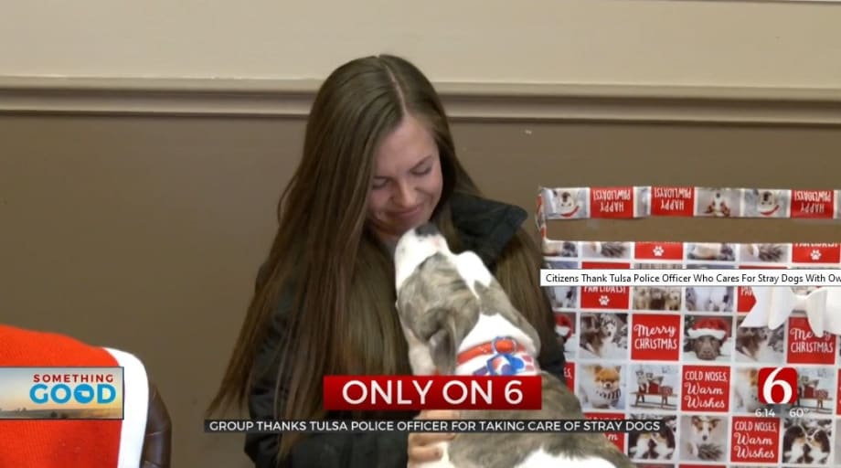 OK Officer Who Helps Stray Dogs with Own Money, Receives Donations from Community