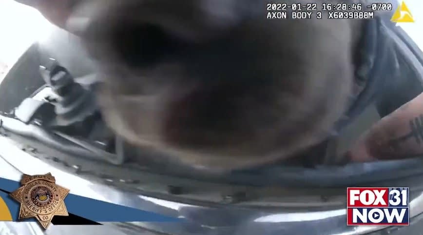 Colorado Deputy Rescues Dog from Burning SUV