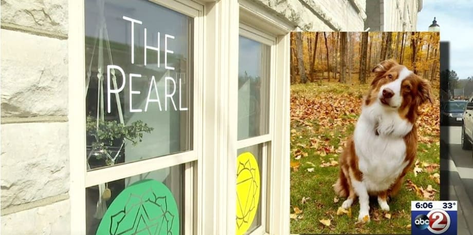 WI Police Respond to Call of Dog Driving Jeep into Building