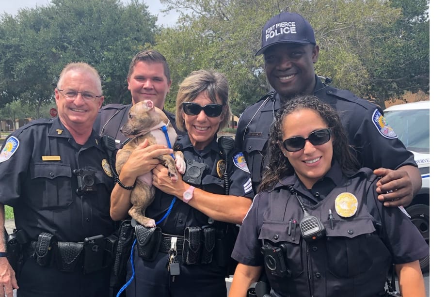 Florida Officer Adopts Puppy in Advance of Hurricane's Arrival