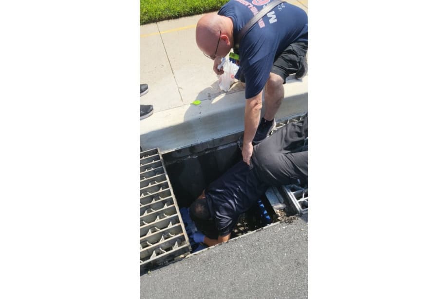 Maryland Officer Saves Ducklings from Storm Drain