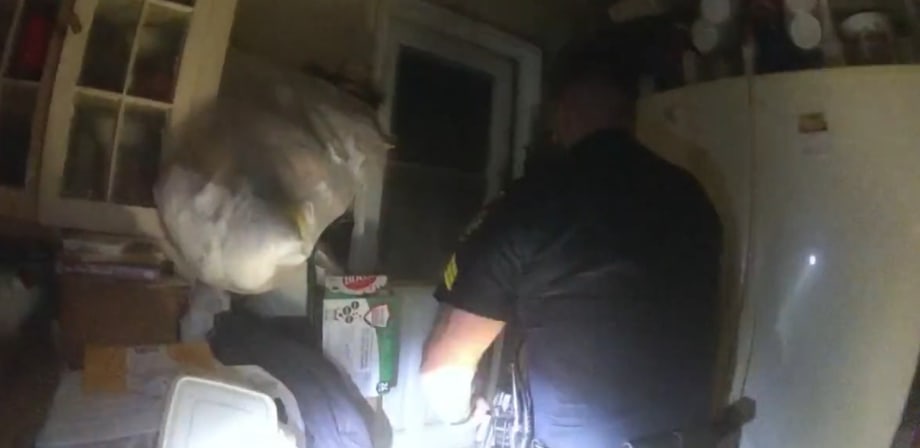 GA Officers Kick in Door, Rescue Man from Burning Home