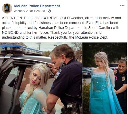 Illinois Agency Thanks SC Police for "Arrest" of Disney's Elsa for Frigid Winter Weather