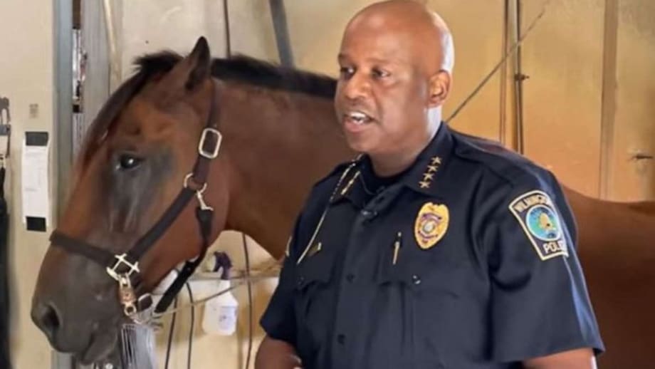 NC Police Horse Hit by Drunk Driver for Second Time