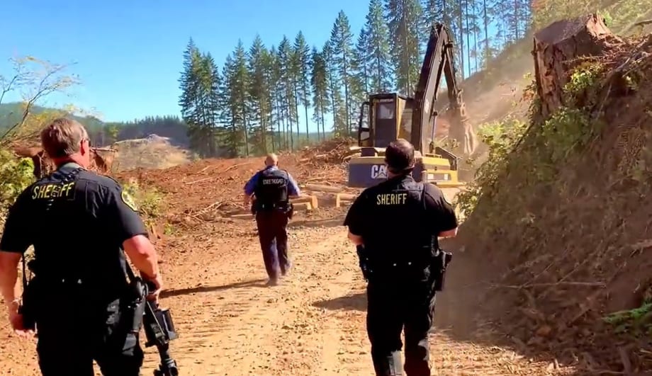 WA Deputies Apprehend Man Fleeing on Excavator